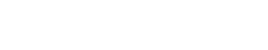 Netguru